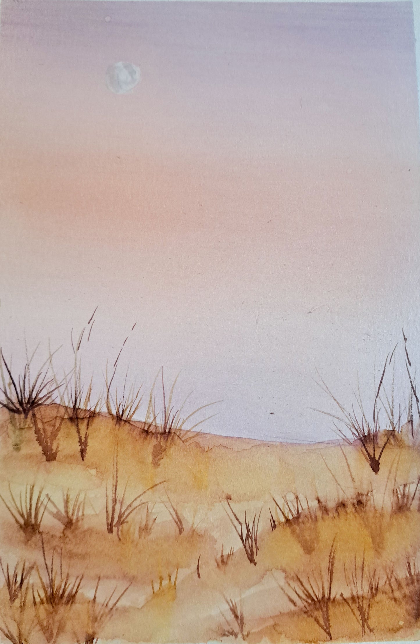 Evening Dunes