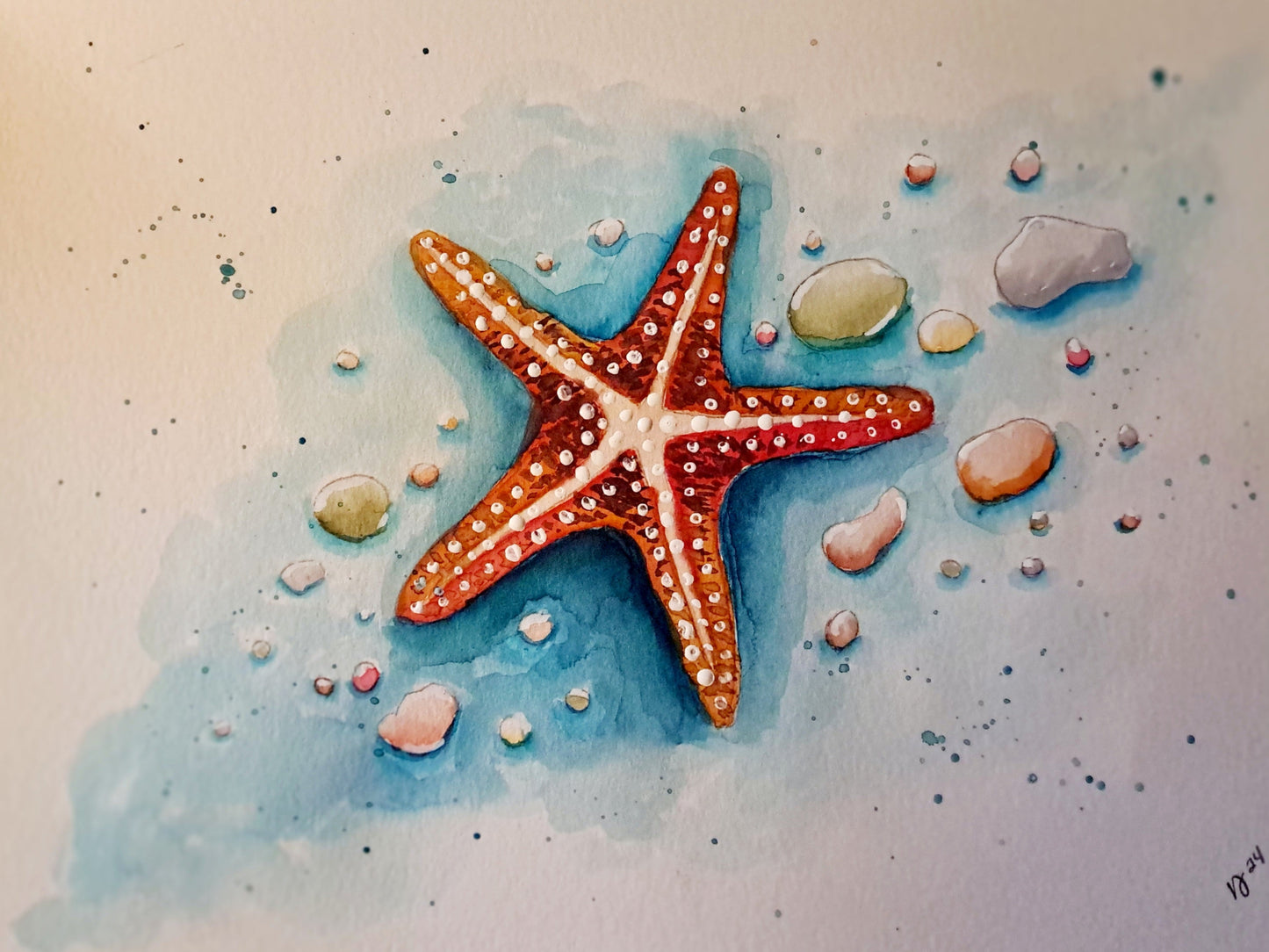 Spotted Starfish