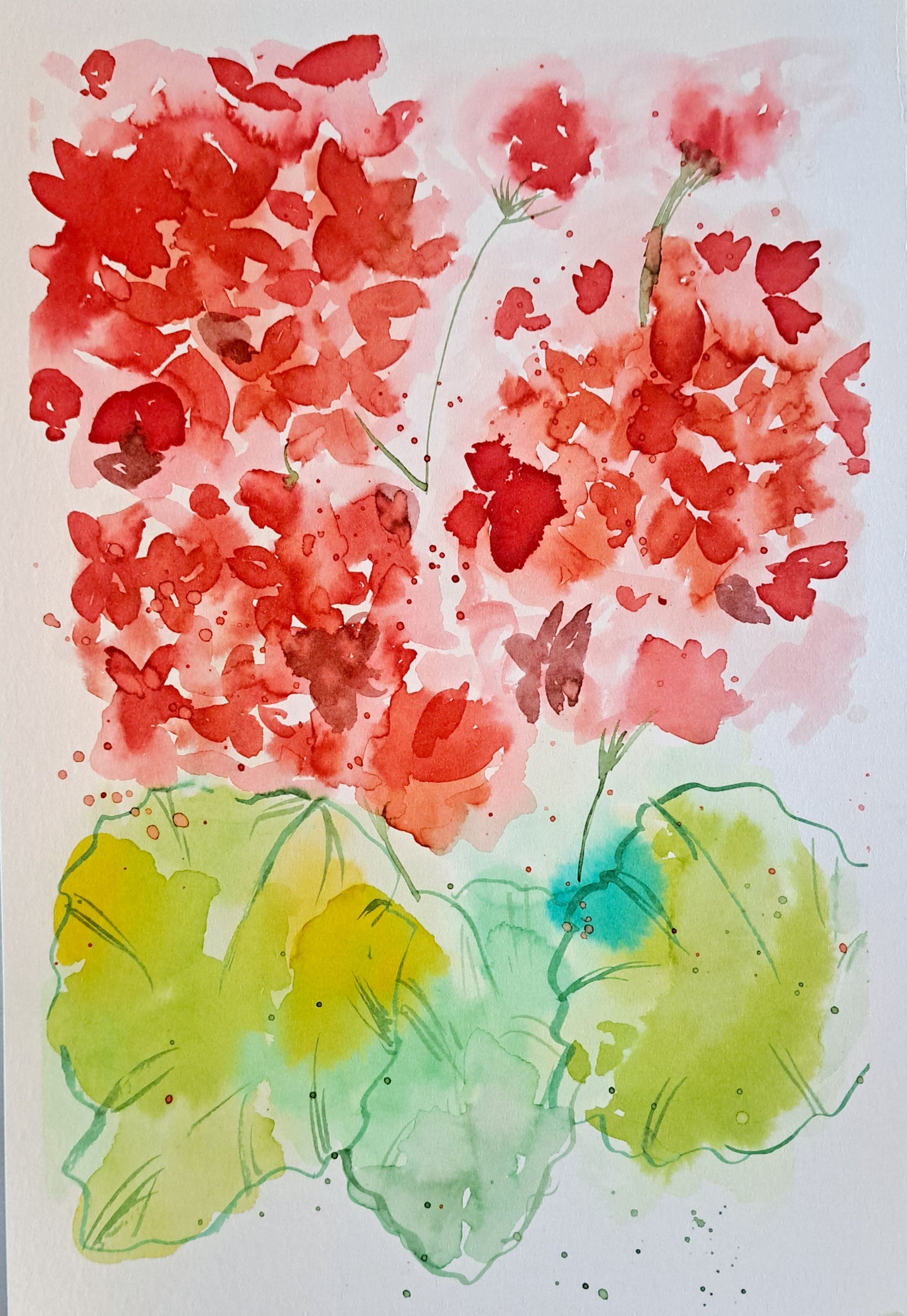 Summer Geraniums