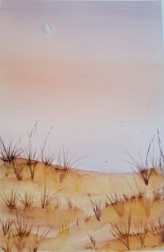 Evening Dunes