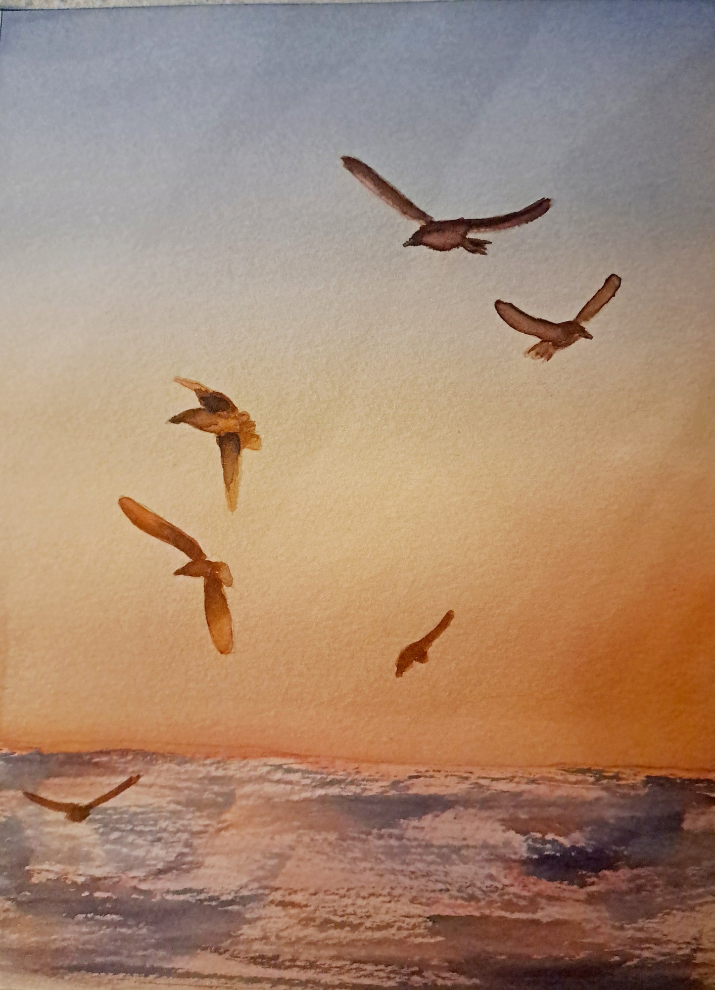 Seaside Gulls