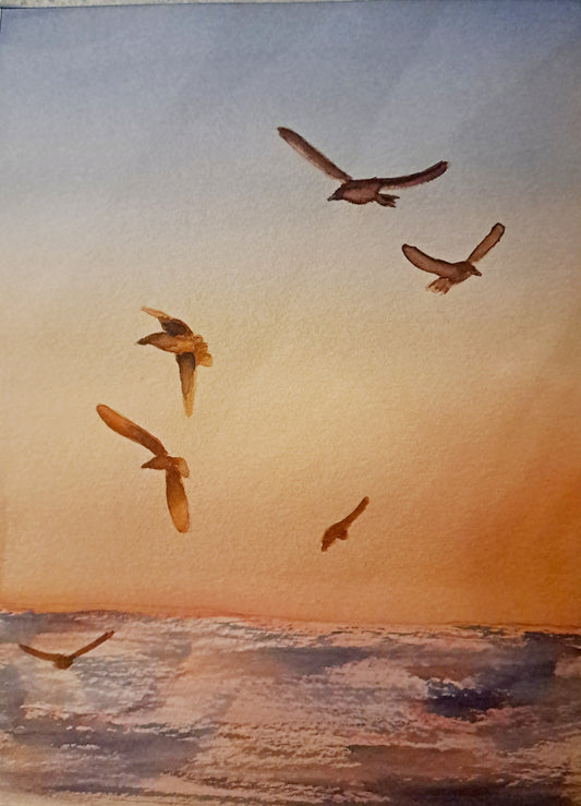 Seaside Gulls