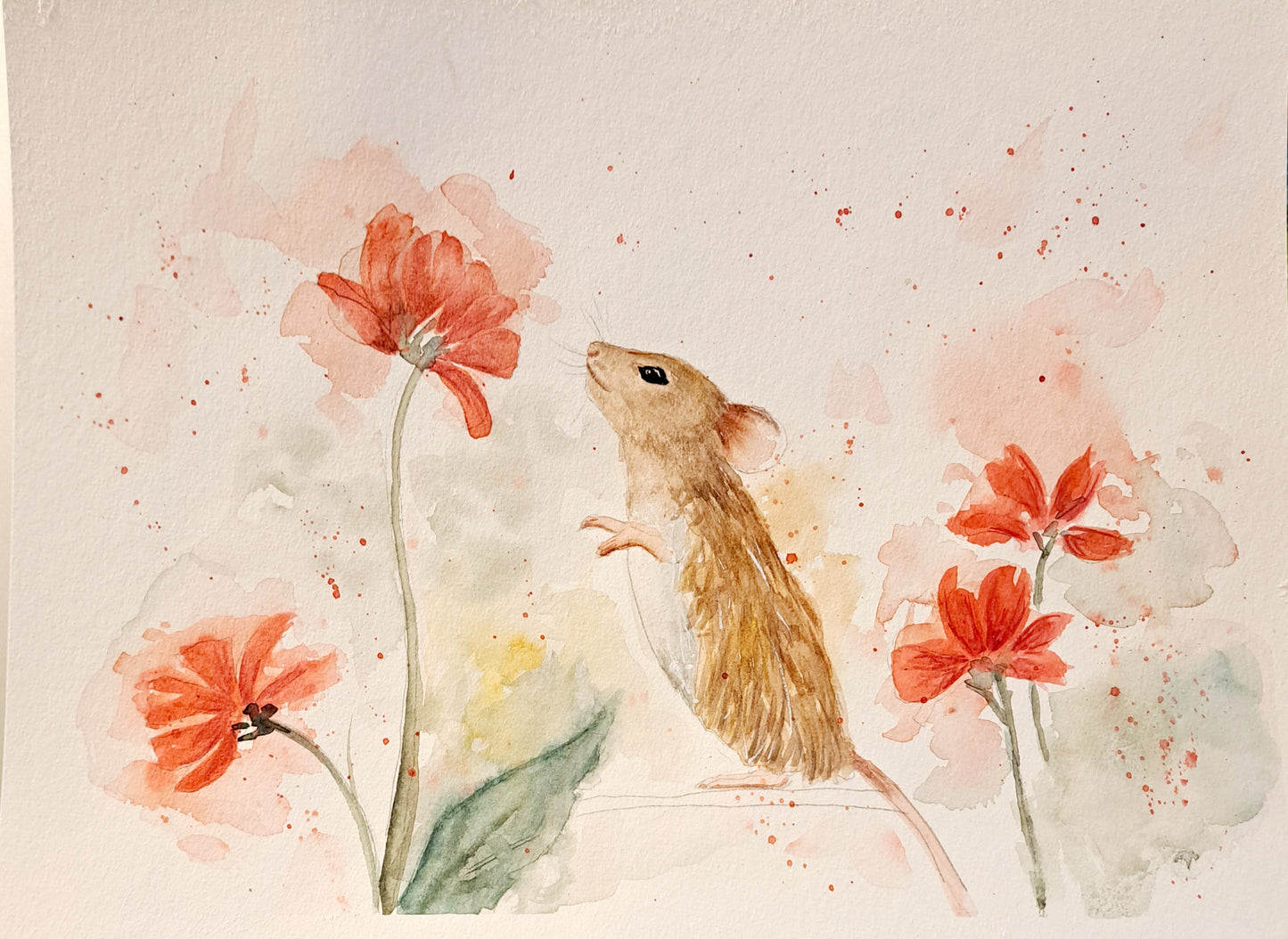 Spring Curiousity